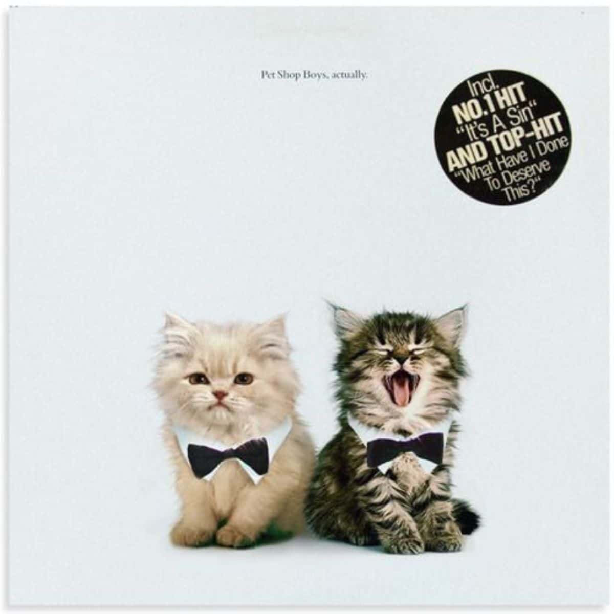 cat version of pet shop boys' album cover