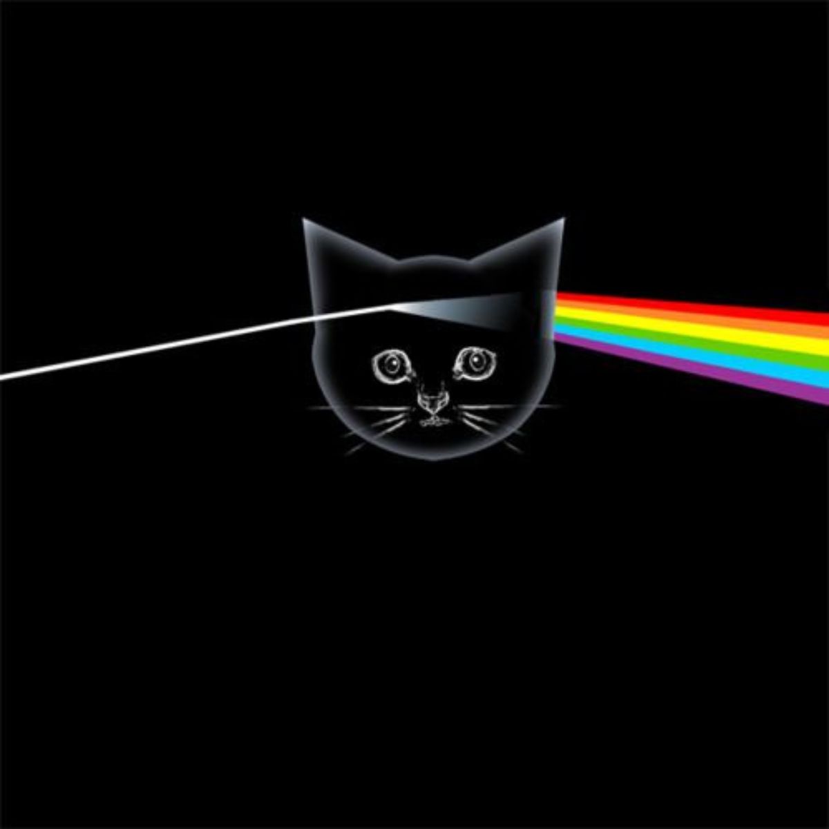cat version of pink floyd's album cover