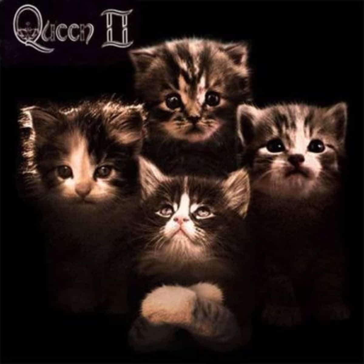 cat version of queen II album