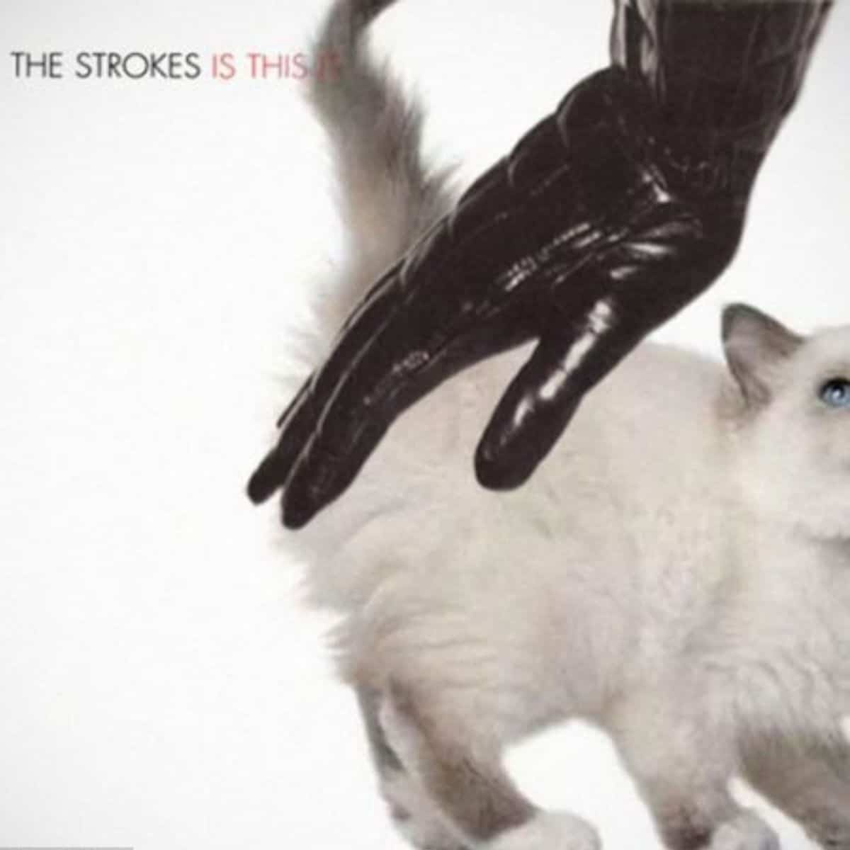 cat version of the strokes' album cover