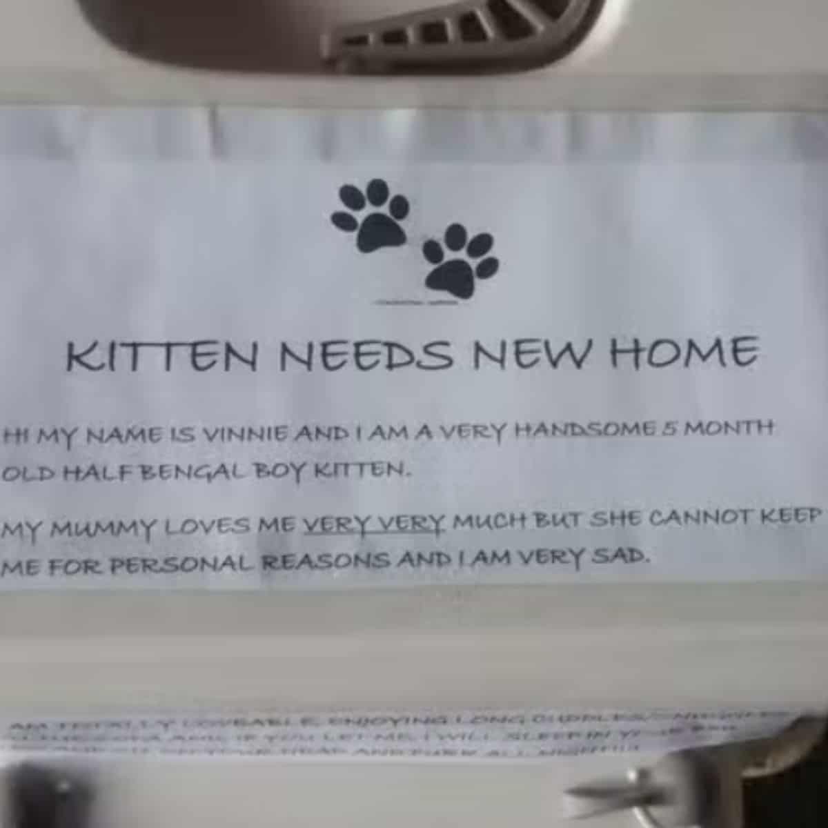 letter for cats new home