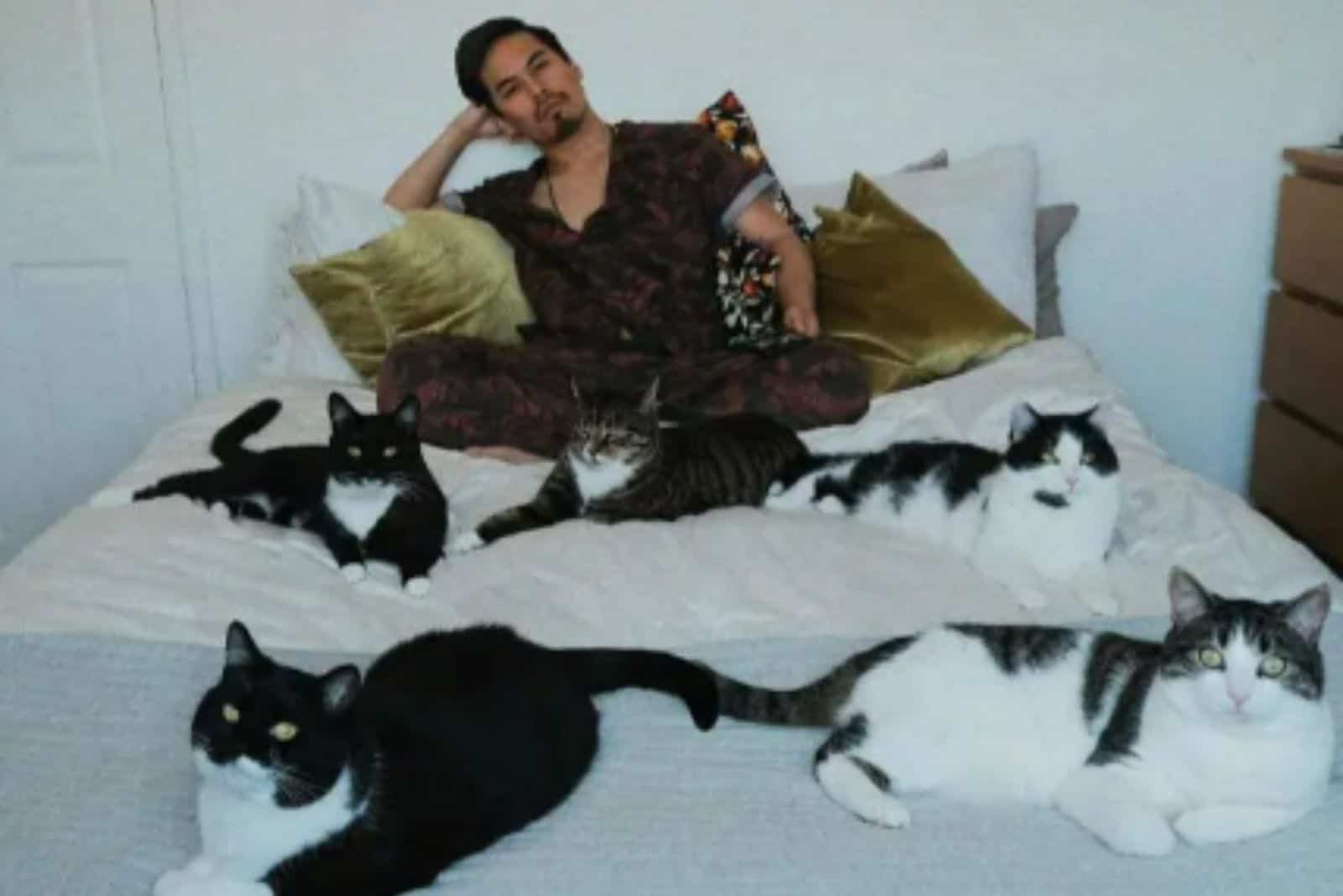 man with cats on bed