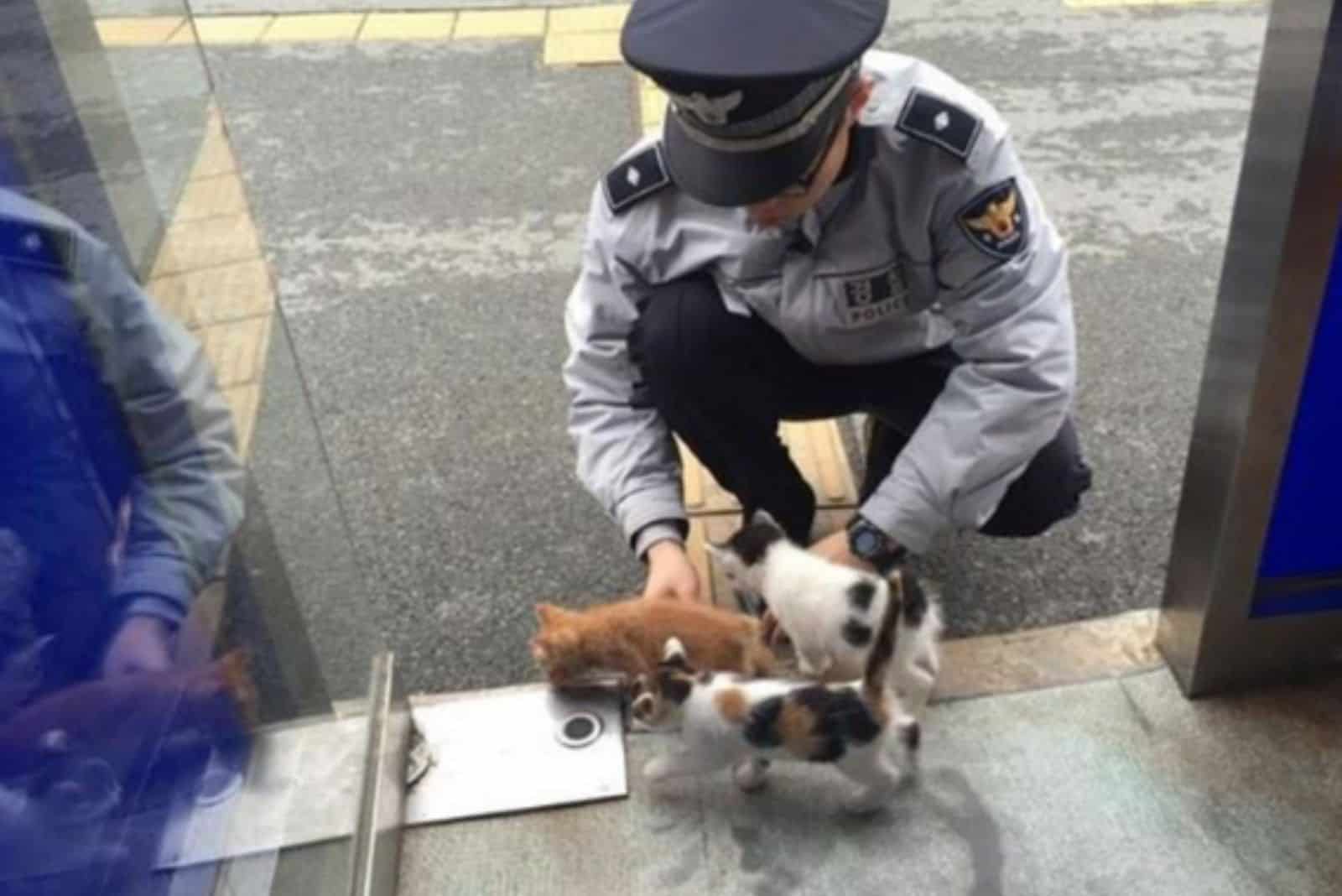 policeman playing with kittens