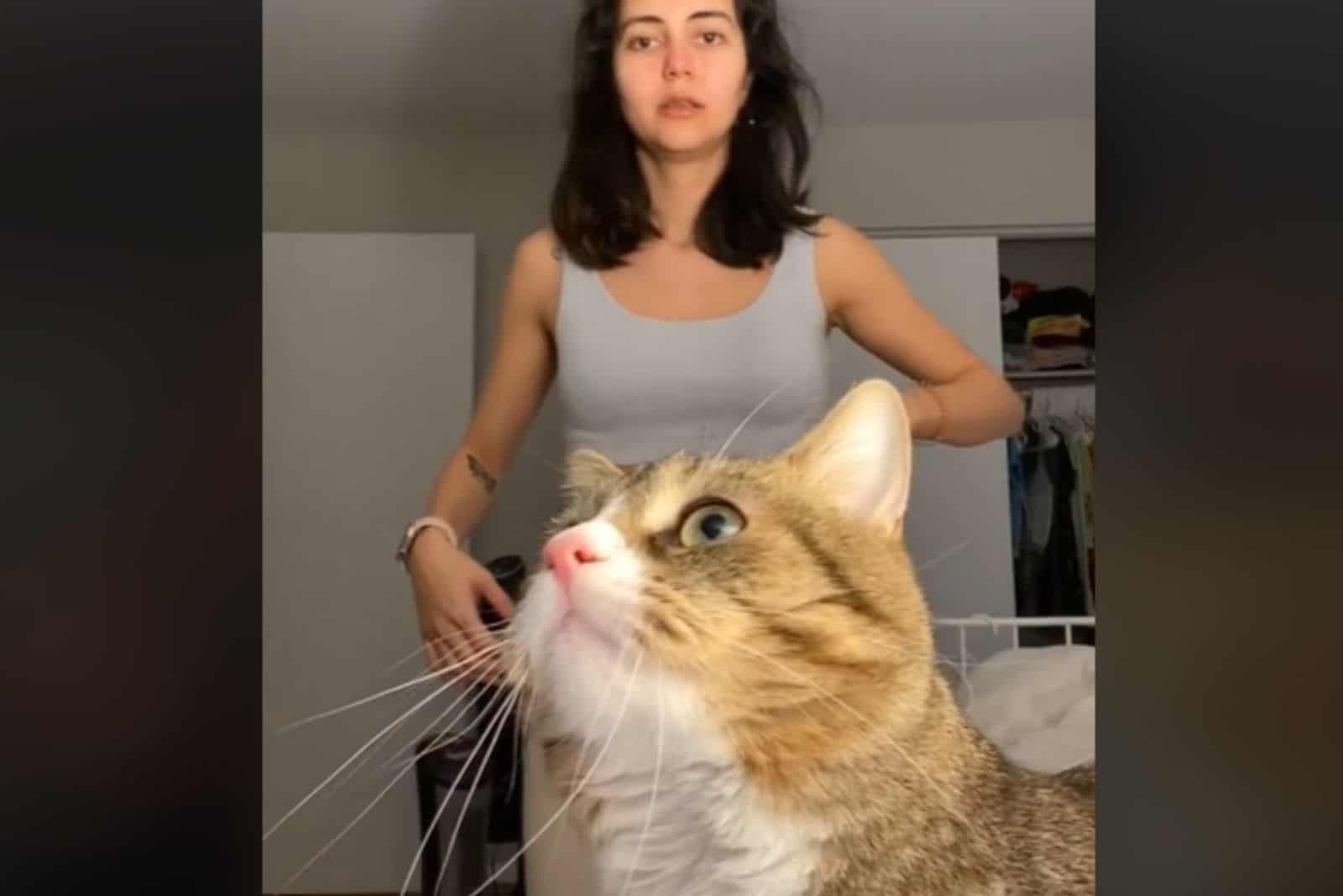 the cat interrupts the woman in the video