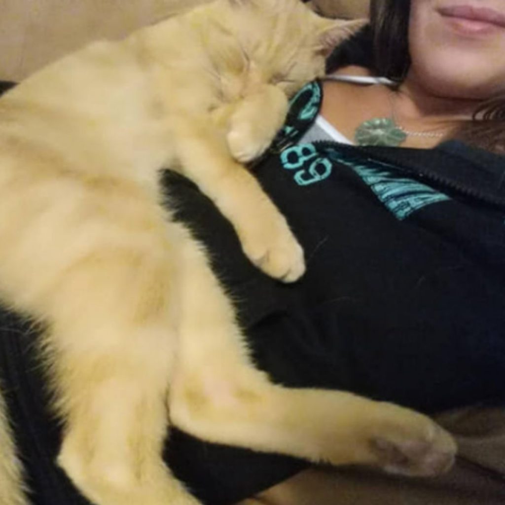 the cat sleeps on the woman's chest