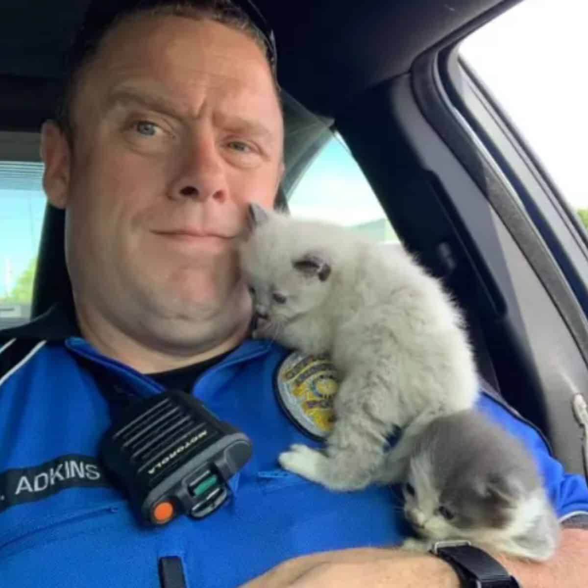 the policeman takes a picture with a cute kitten on his chest