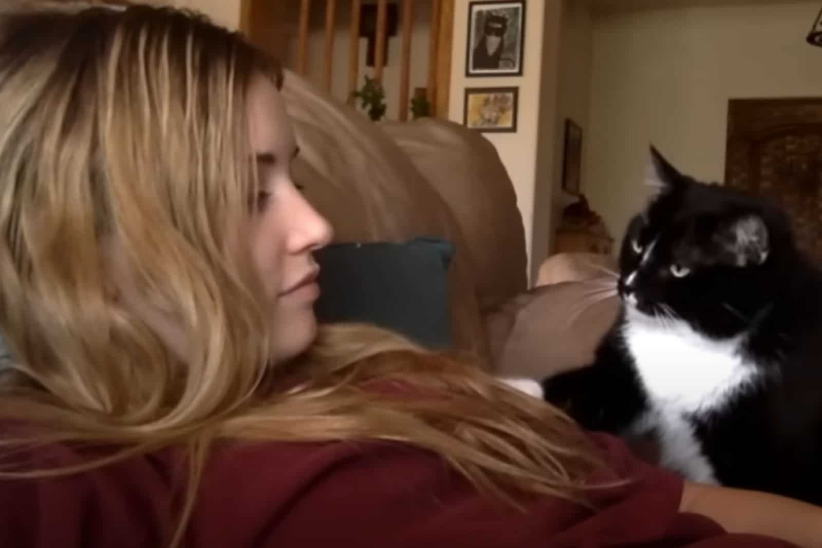 Cat politely asking to get petted