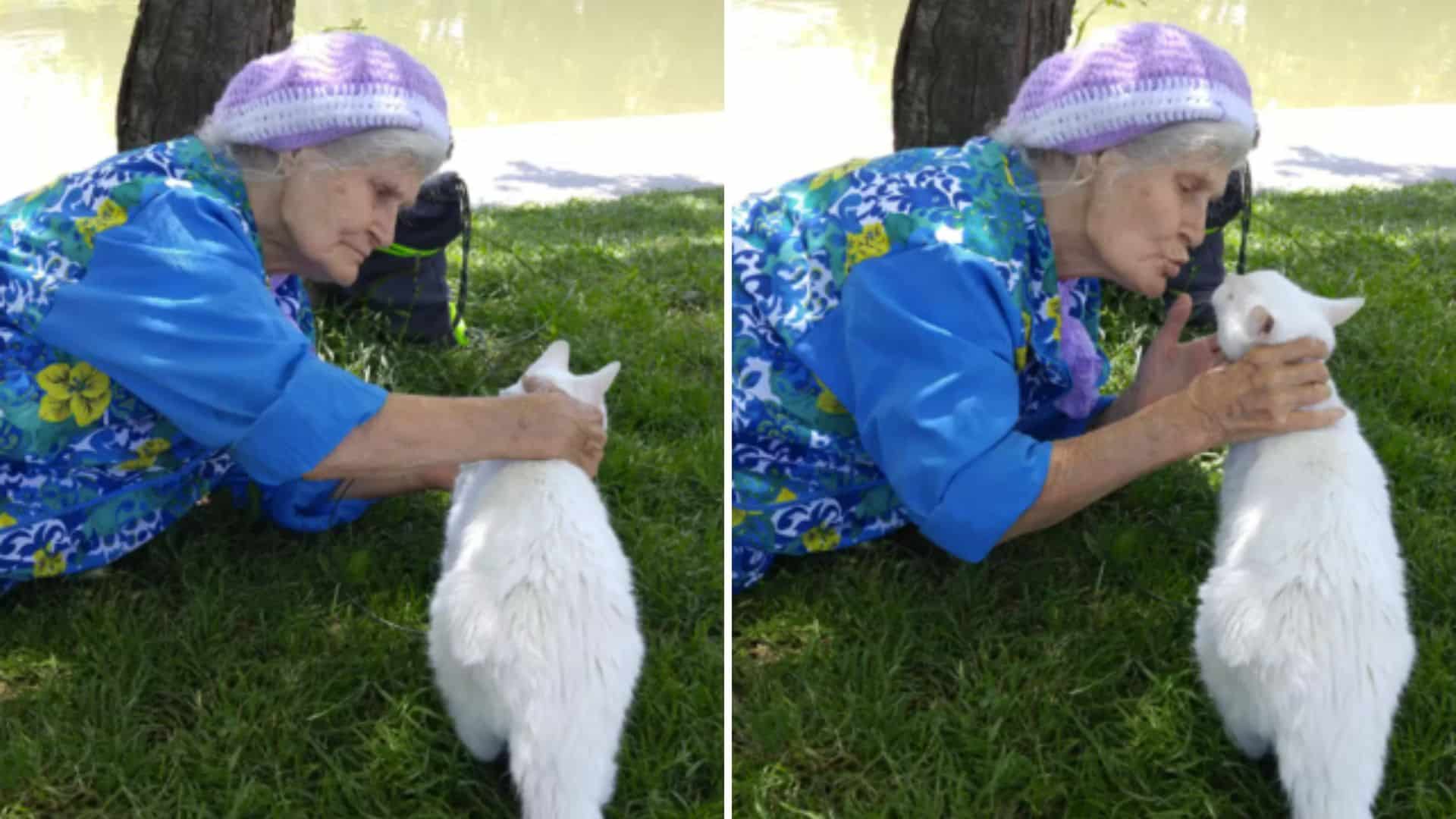 grandmother strokes a white cat in the garden