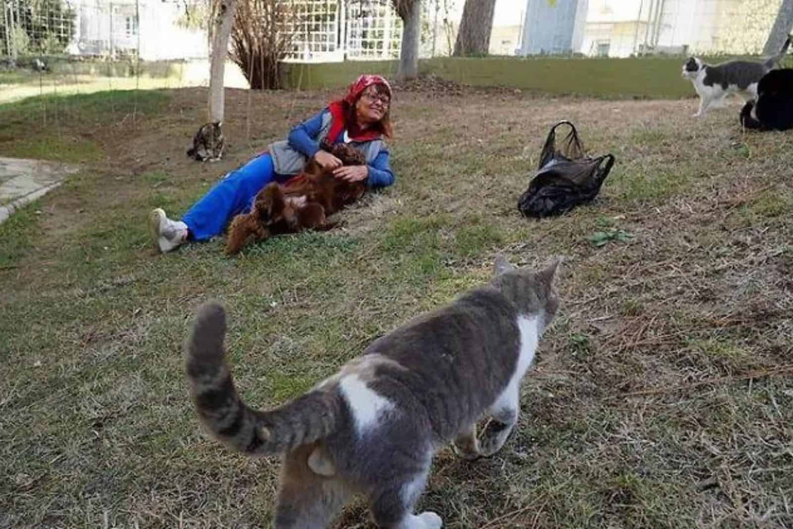 Ilhan and stray cats on the grass