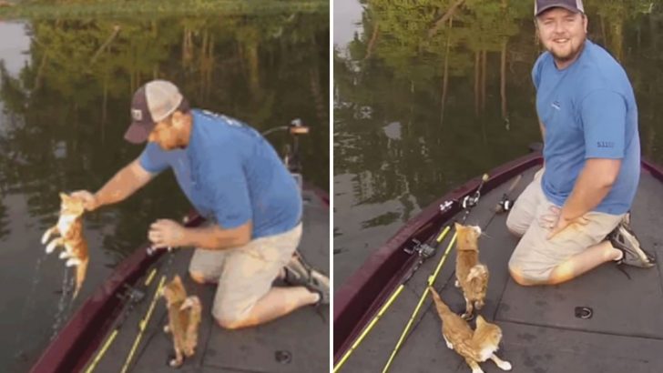 Two Guys Went Fishing But Ended Up Rescuing Abandoned Kittens