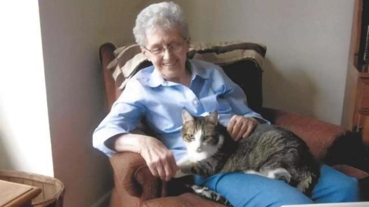 Woman And Her Beloved Cat Died Within Hours Of Each Other