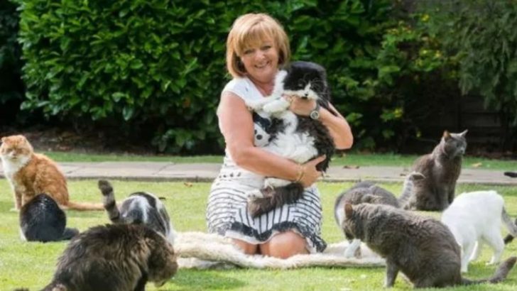 This Kind Woman Devotes $142,000 Annually To The Care Of Rescue Cats