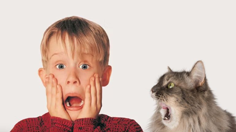 photo of a boy holding his cheeks and screaming and a cat looking at him