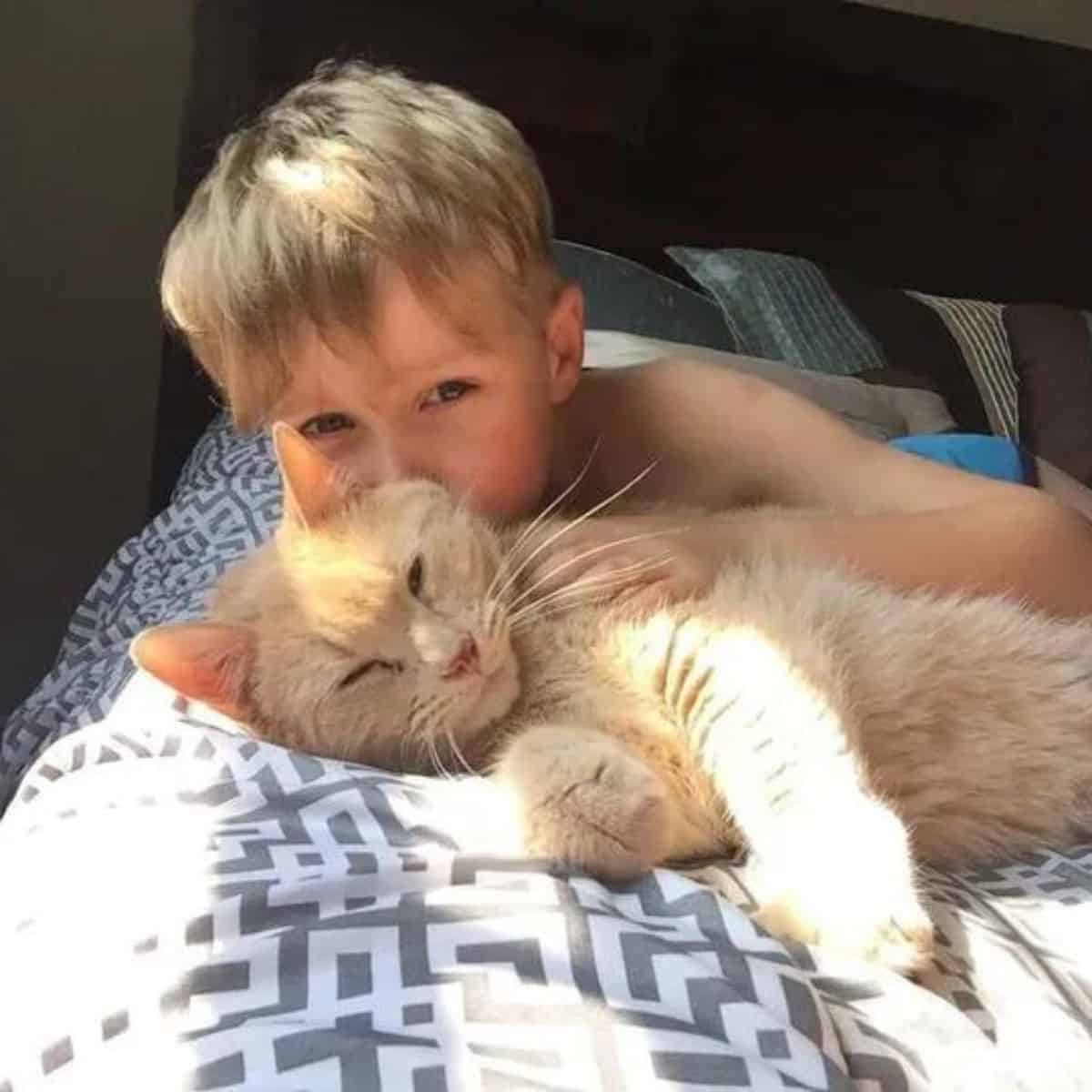 a boy hugs an adopted cat in bed