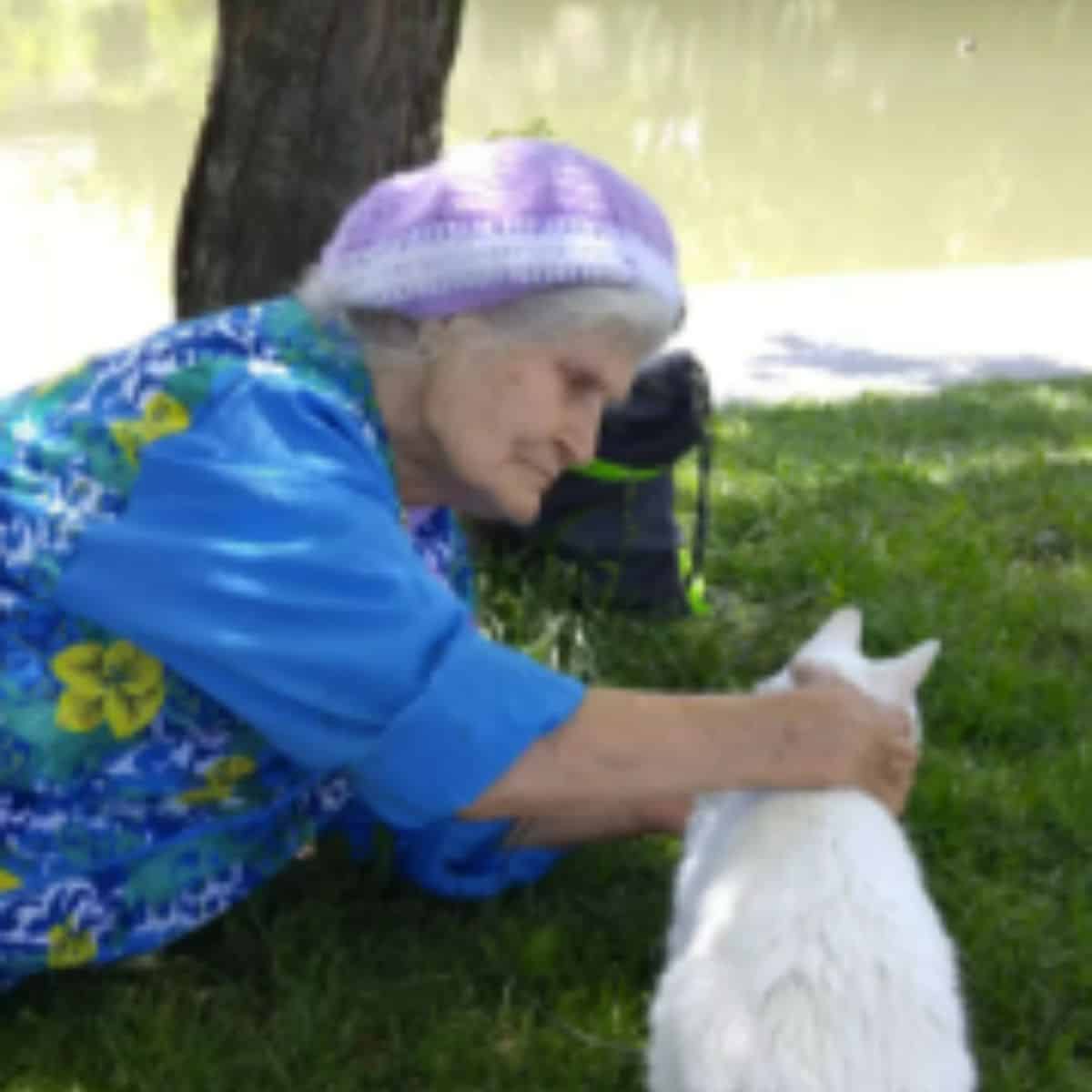 a gray-haired grandmother with a scarf on her head caresses a white cat