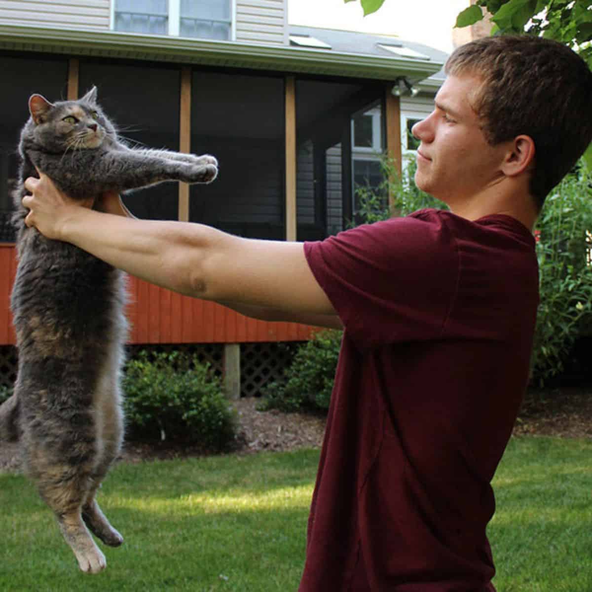 a man holds a cat in his arms and looks at it