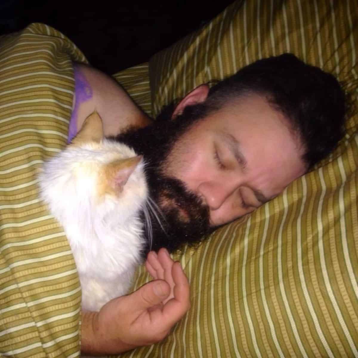 a man sleeps with a foster cat