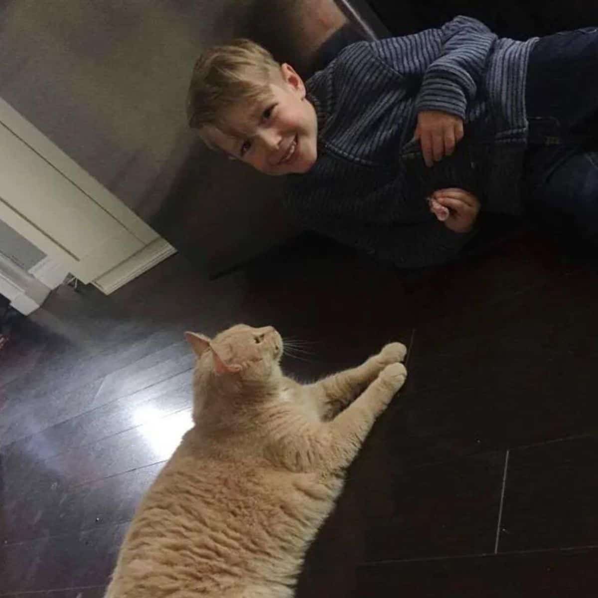 a smiling boy feeds a cat