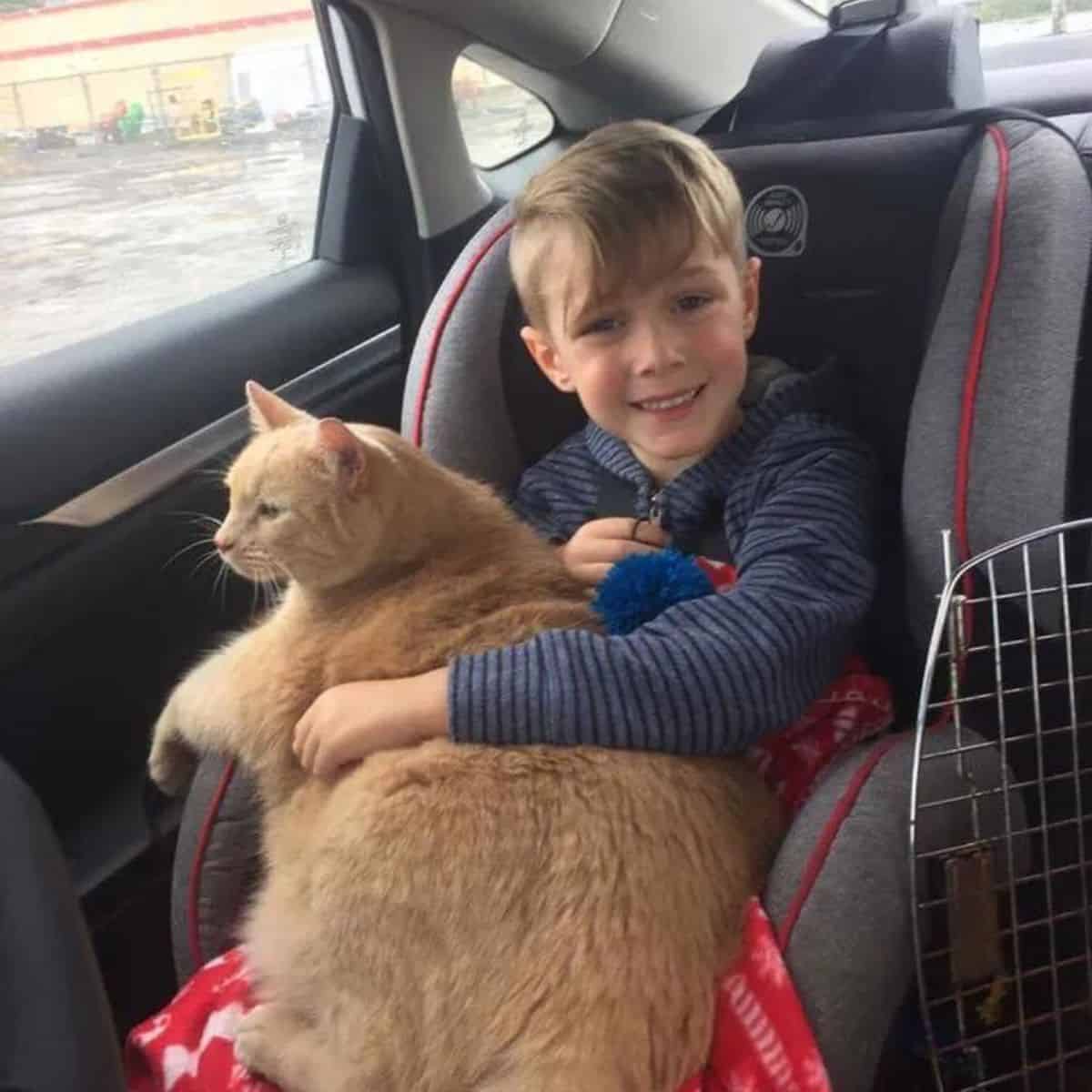 a smiling boy holds an adopted cat on his lap
