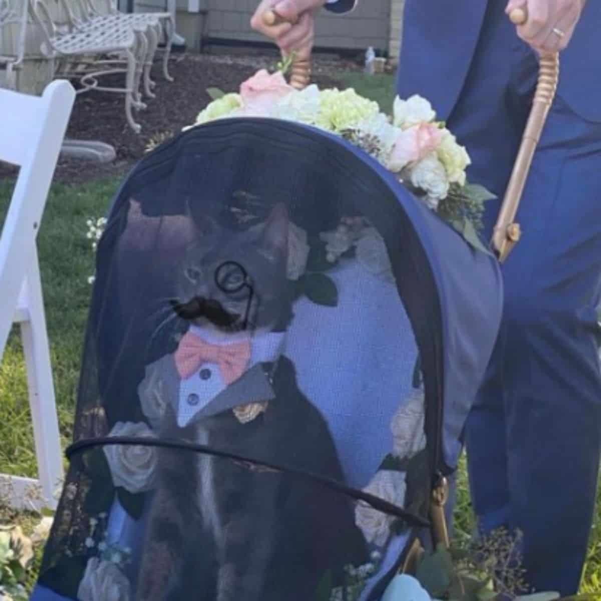This Cat Ring Bearer Steals The Show At A Wedding