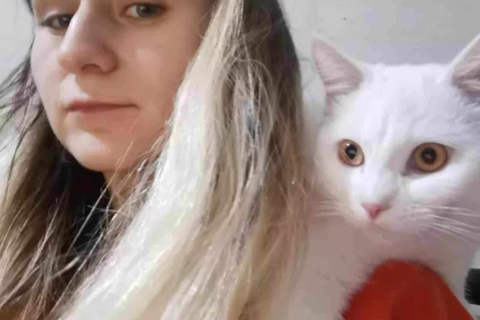 cute white cat interrupting her owner's zoom meetin