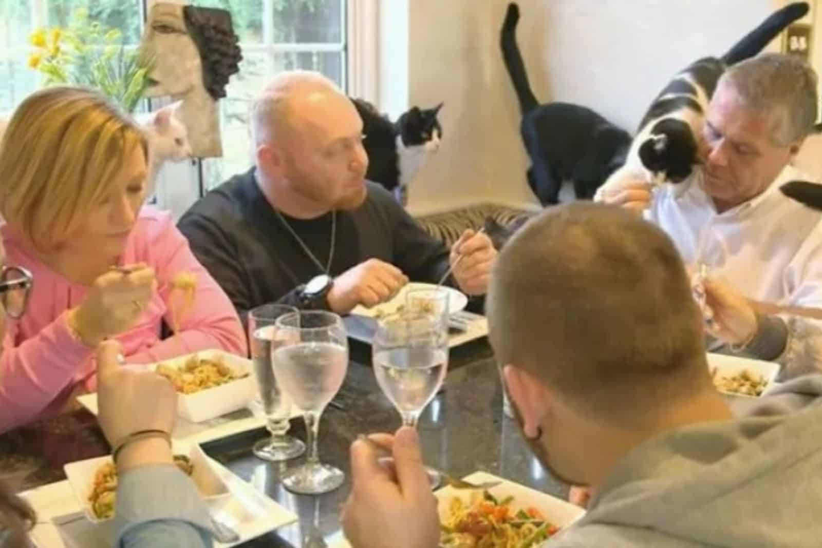 family on lunch with cat
