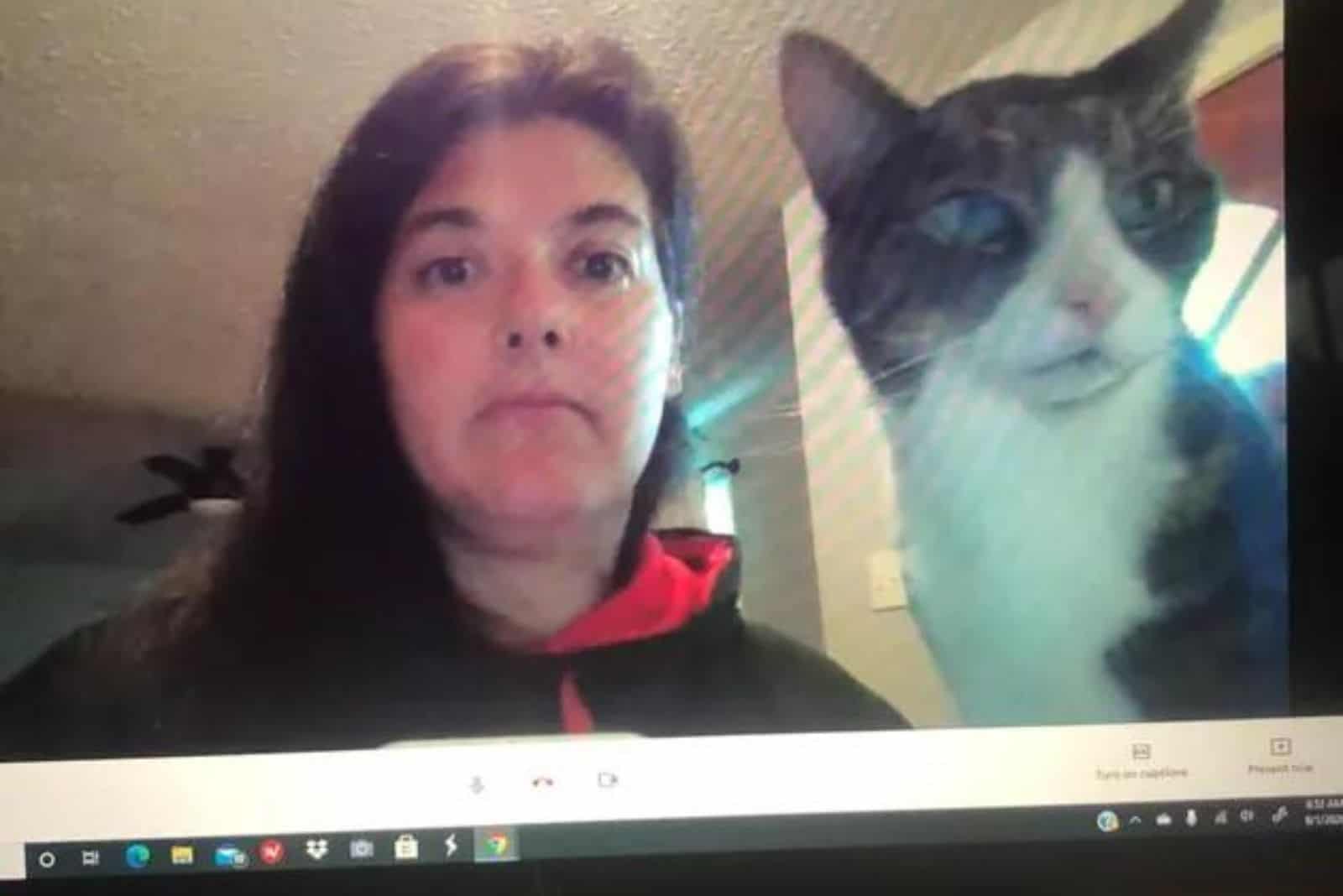 funny photo of a cat interrupting a zoom meeting