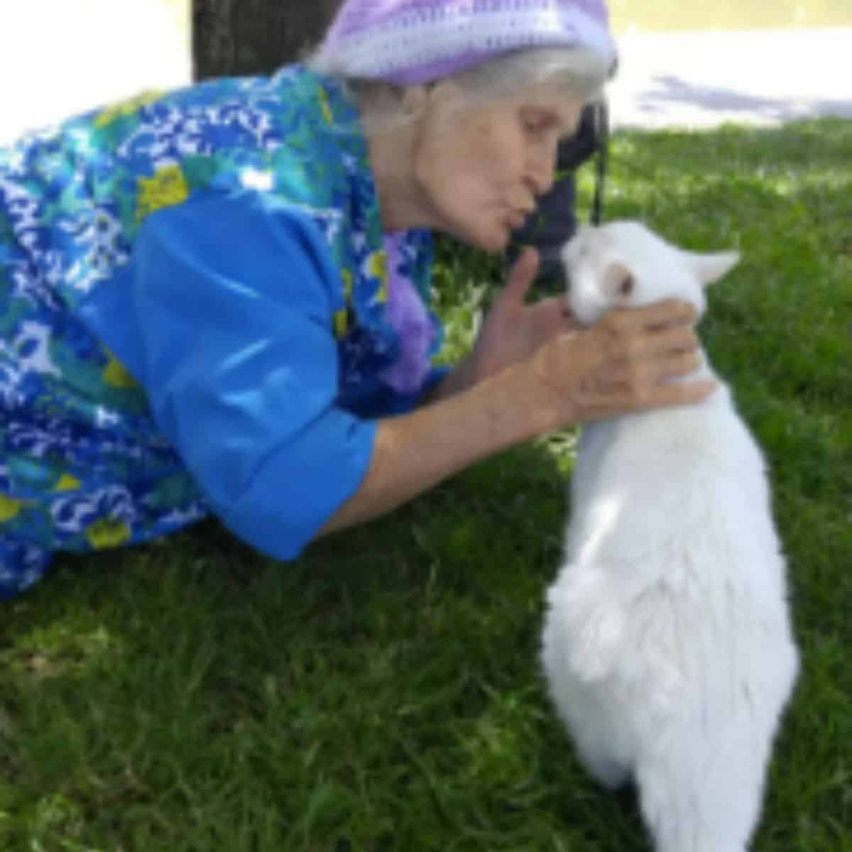 grandma wants to kiss the cat