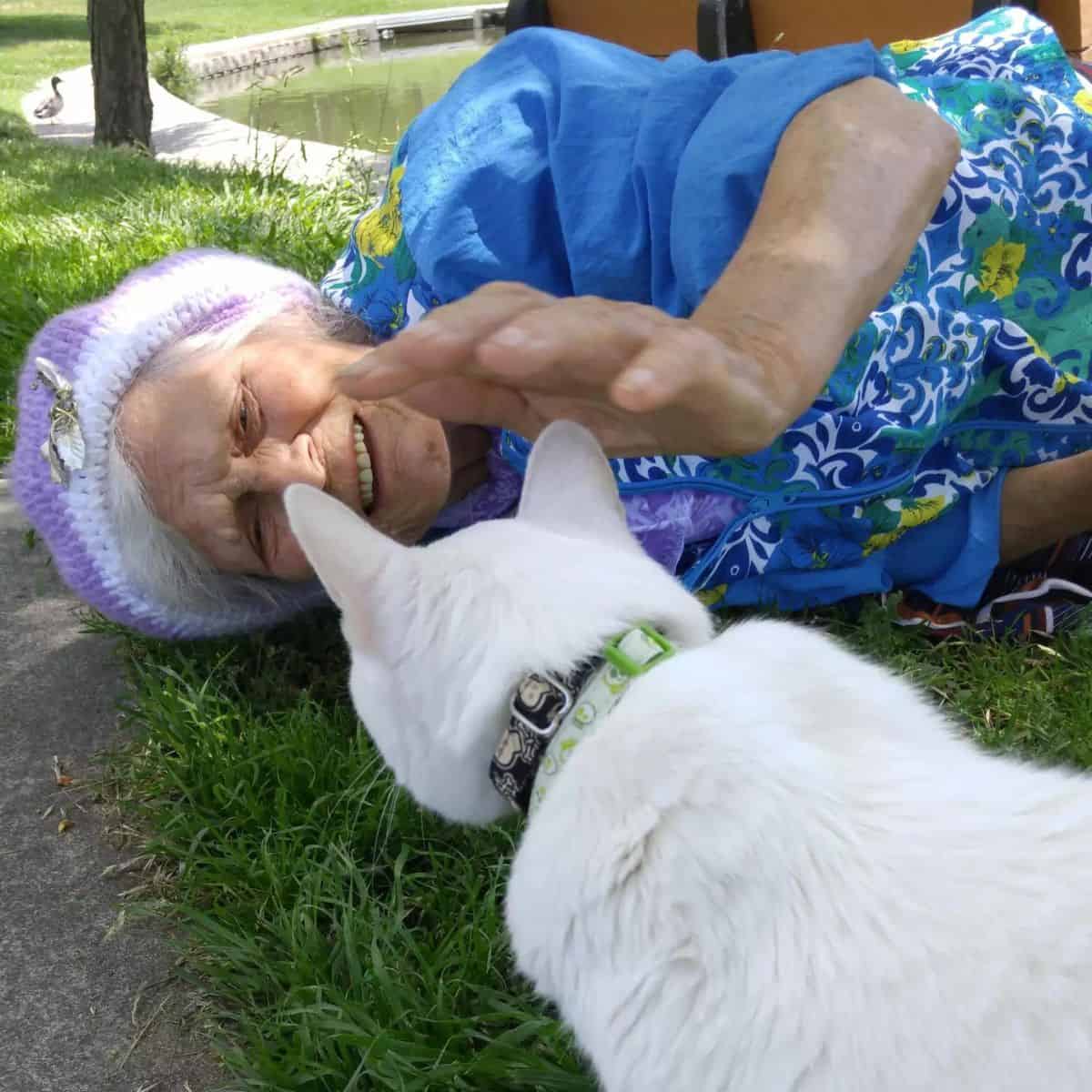grandmother lies on the grass and caresses a white cat