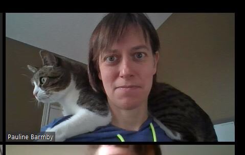 photo of a cat named Rocky standing on owner's shoulder during a zoom call
