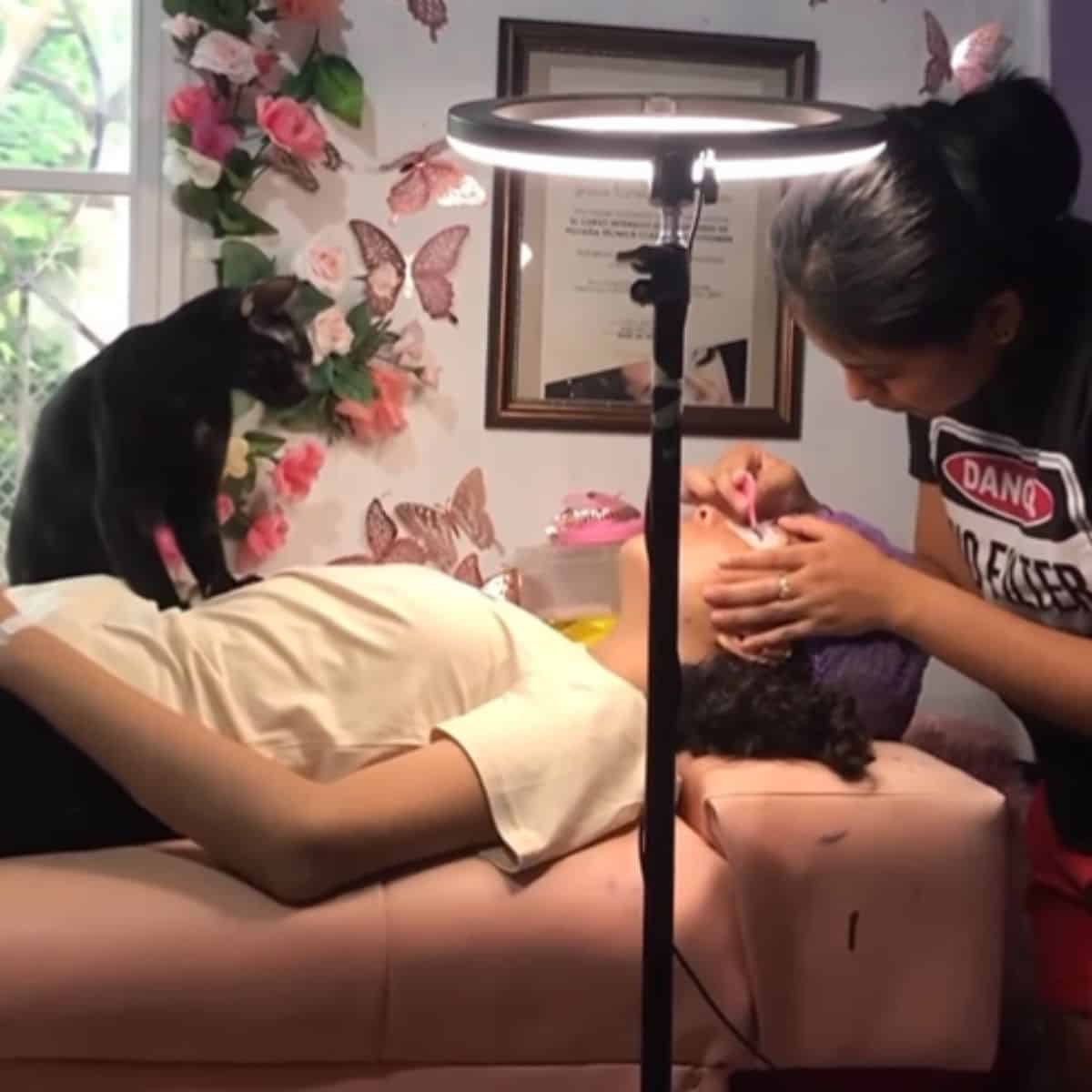 the cat follows the owner as she takes care of the client