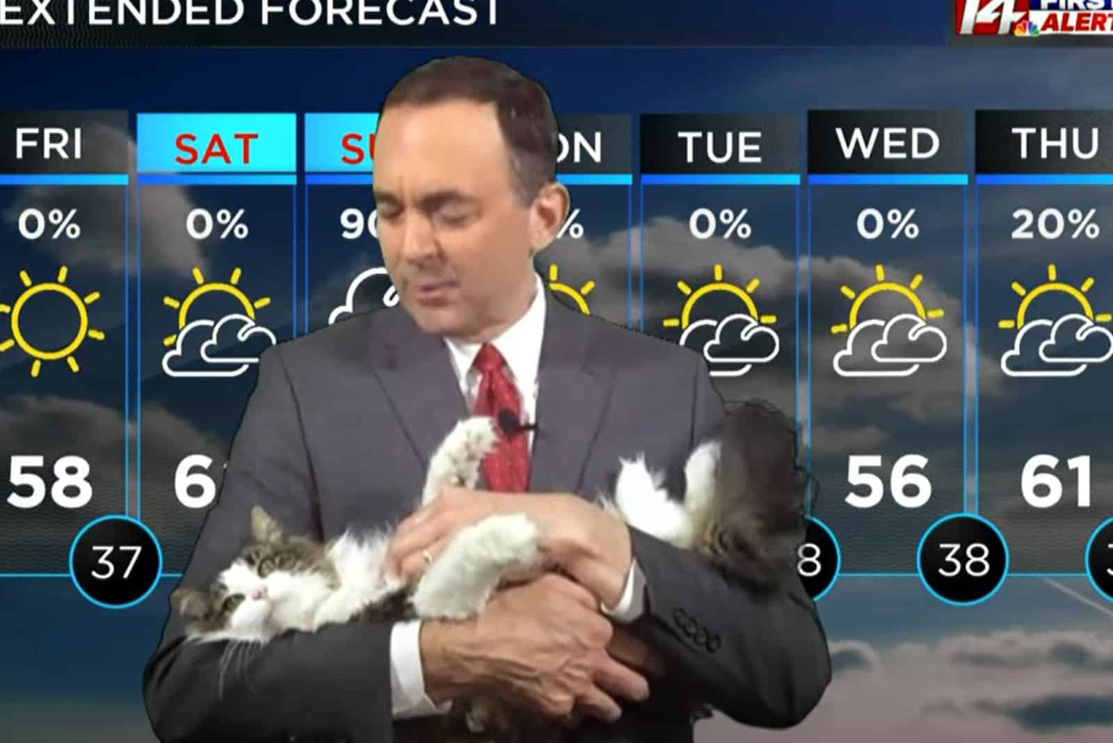 the cat interrupts the weatherman during the show