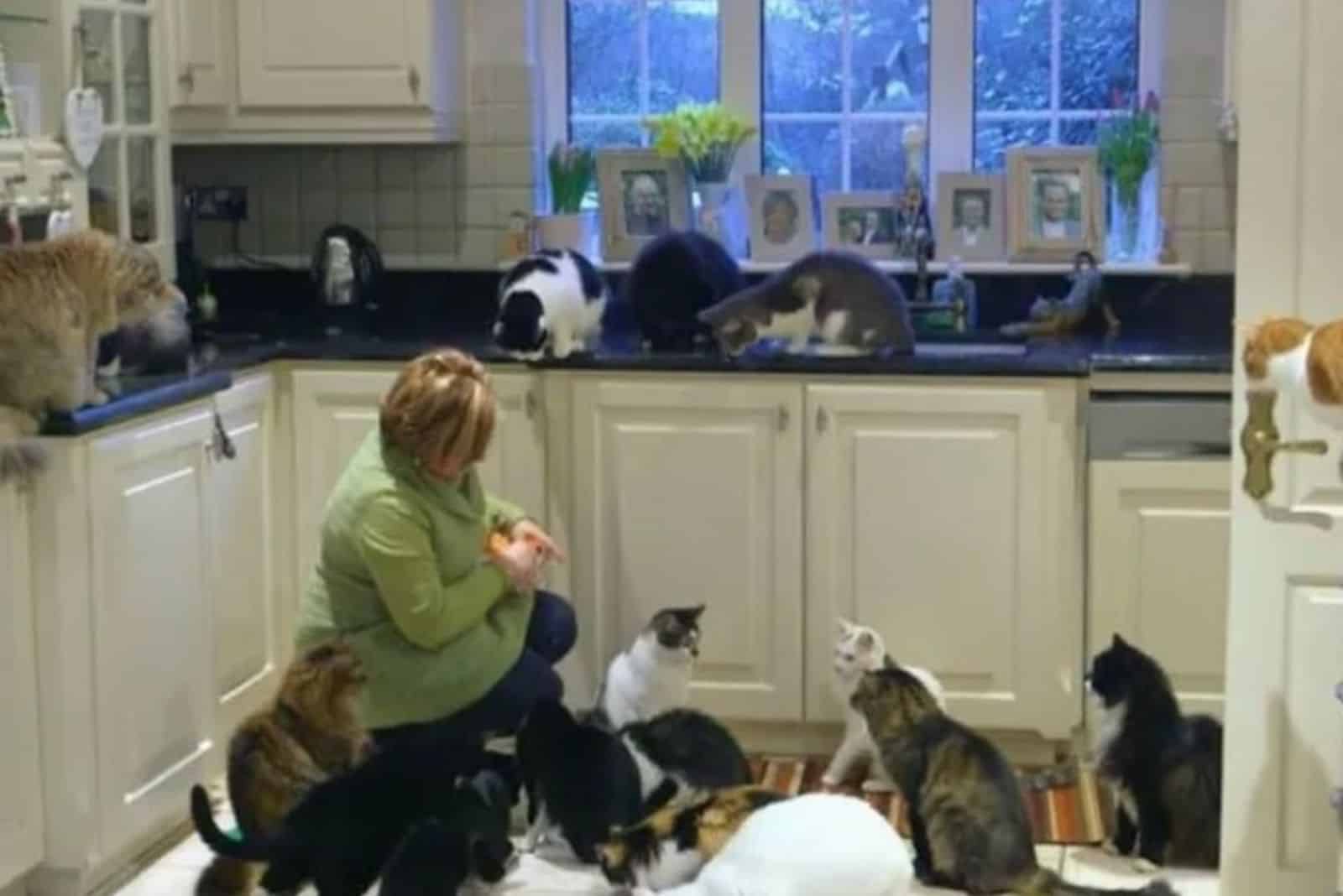 woman with cats in the kitchen