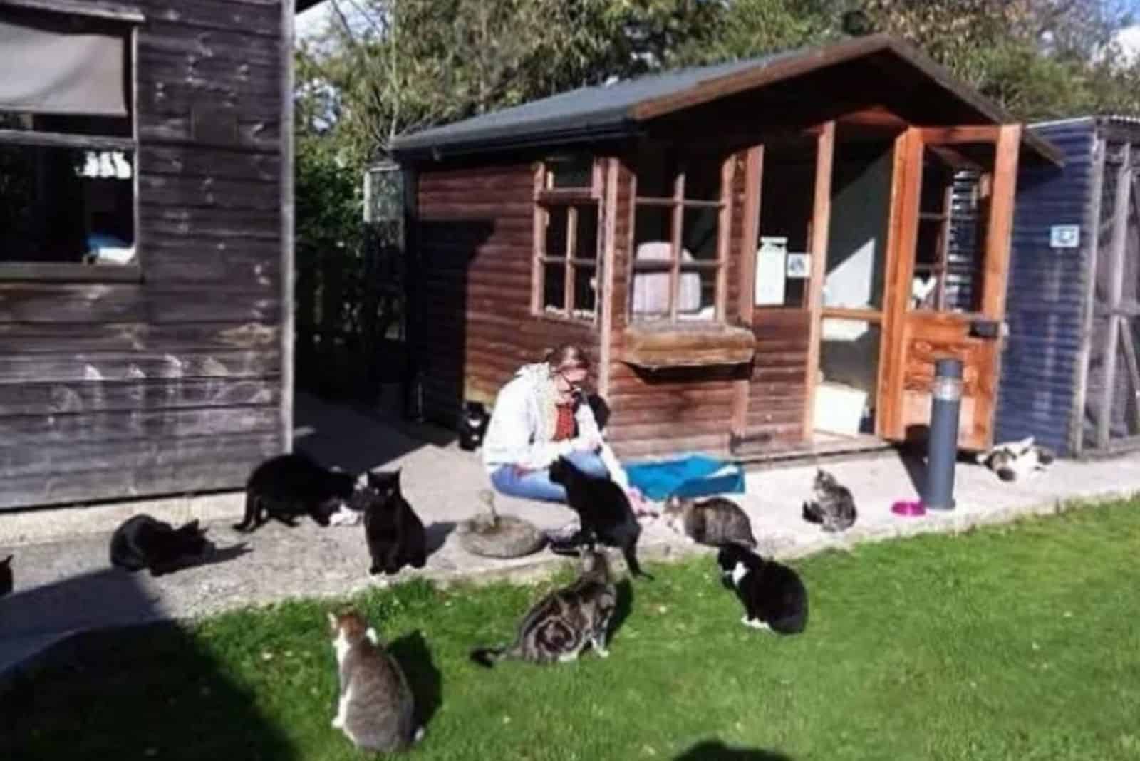 woman with cats in yard