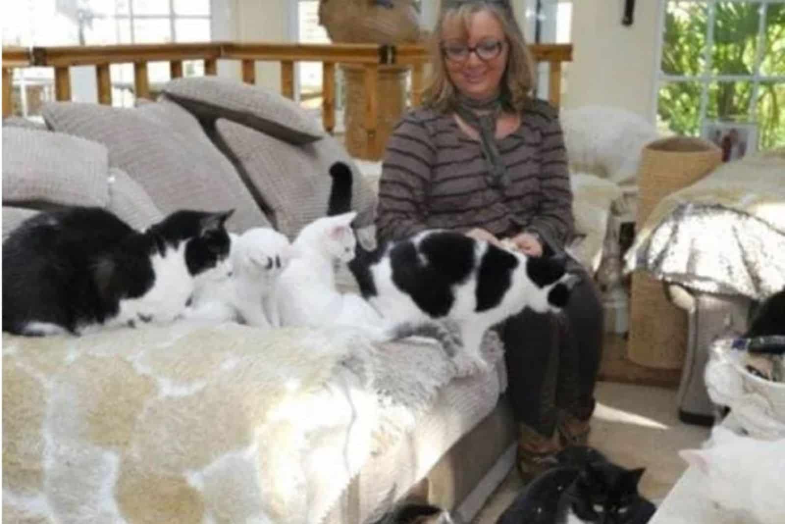 woman with cats on the couch