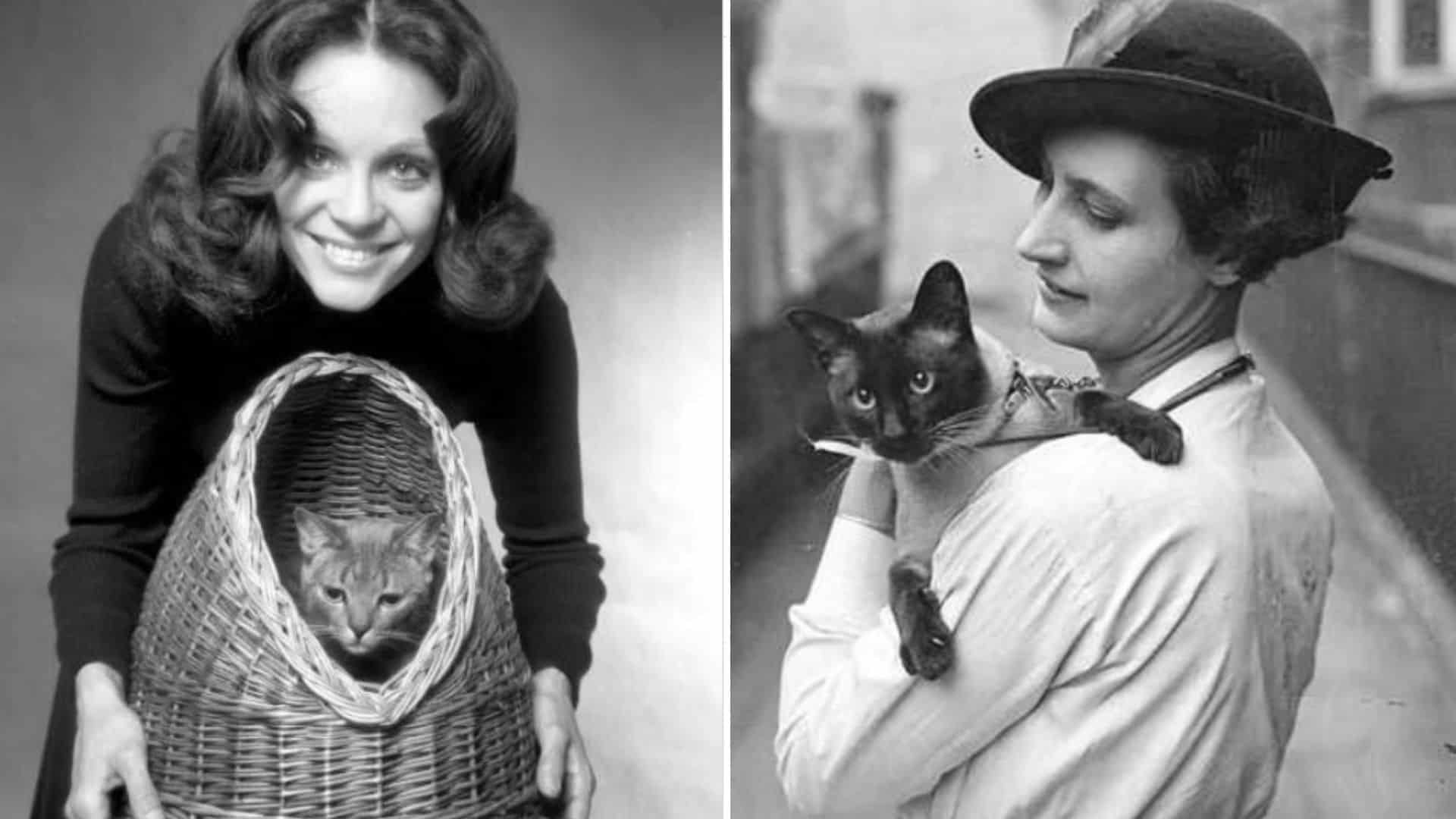 vintage photos of woman with cat