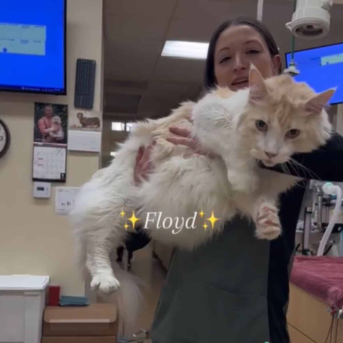 Girl holding fat cat