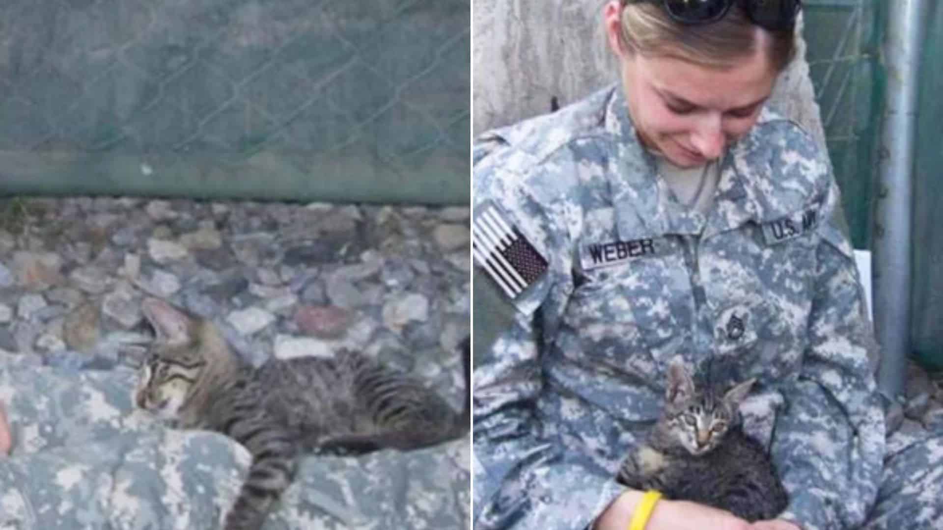 Woman Solider taking care of the cat.