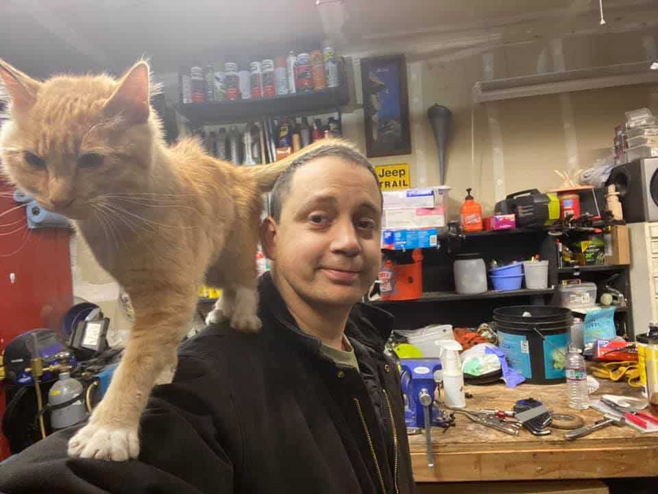 cat walking on mans shoulder