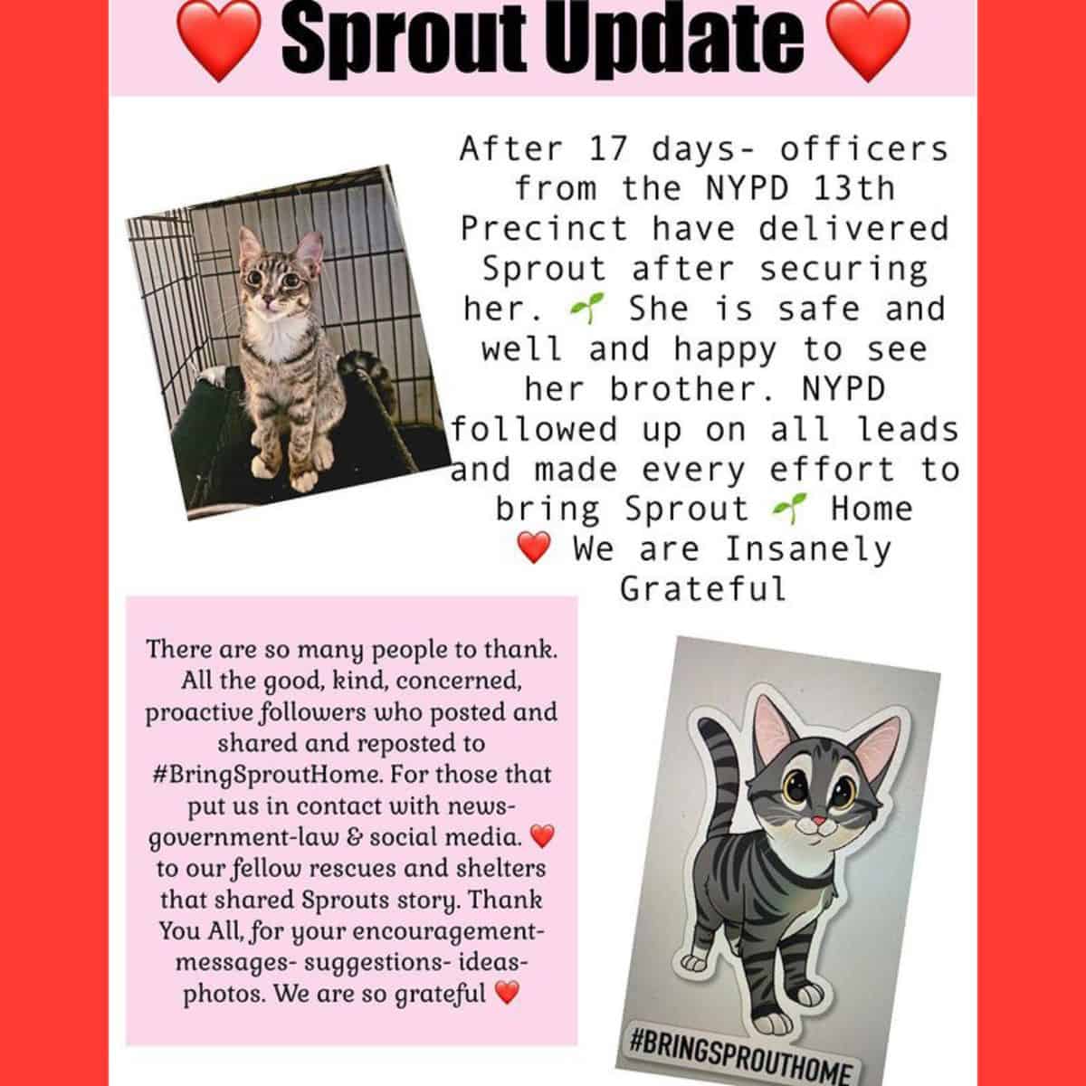 flyer with a photo of Sprout in a kennel and a story update