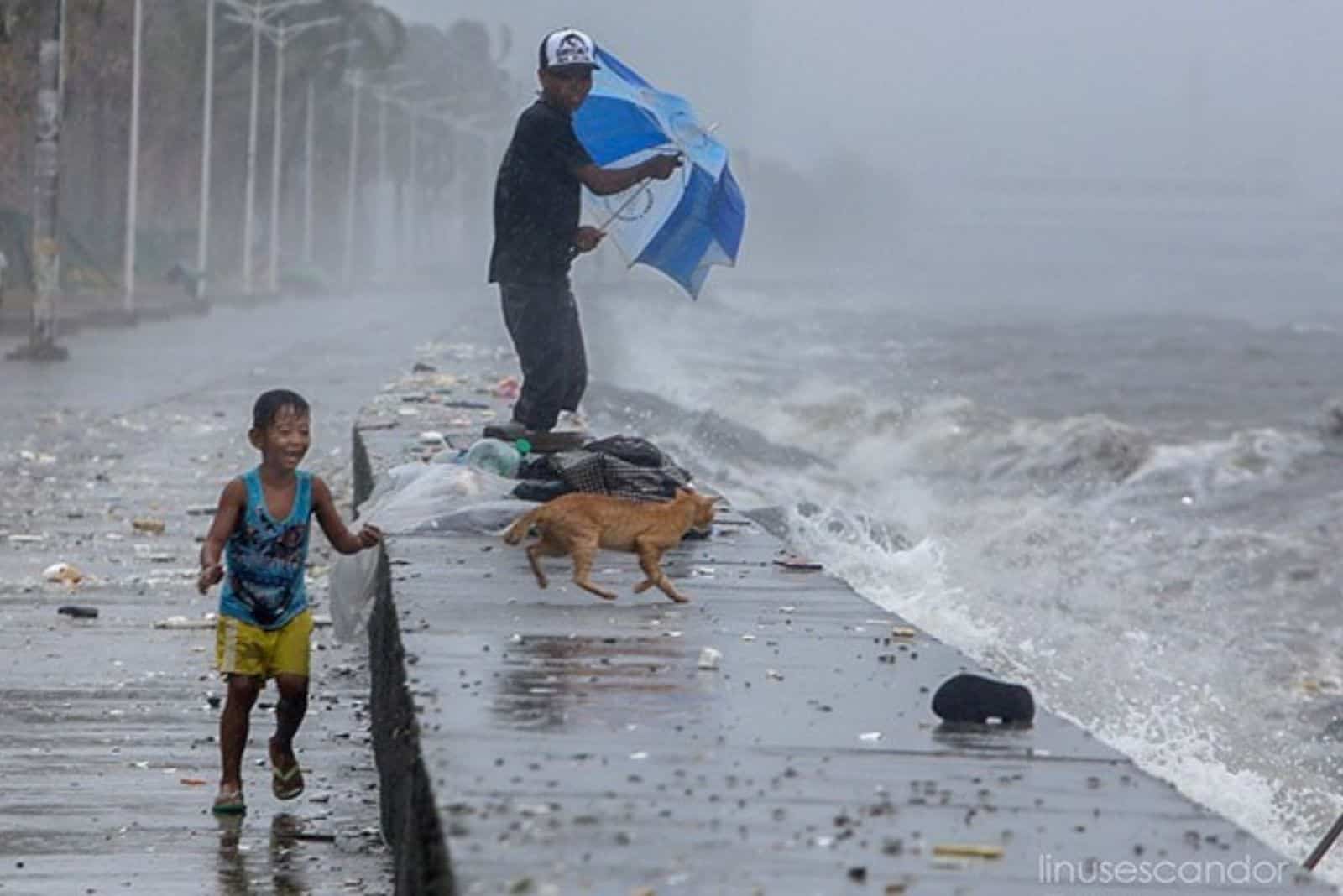 man boy and a cat in the middle of a typhoon