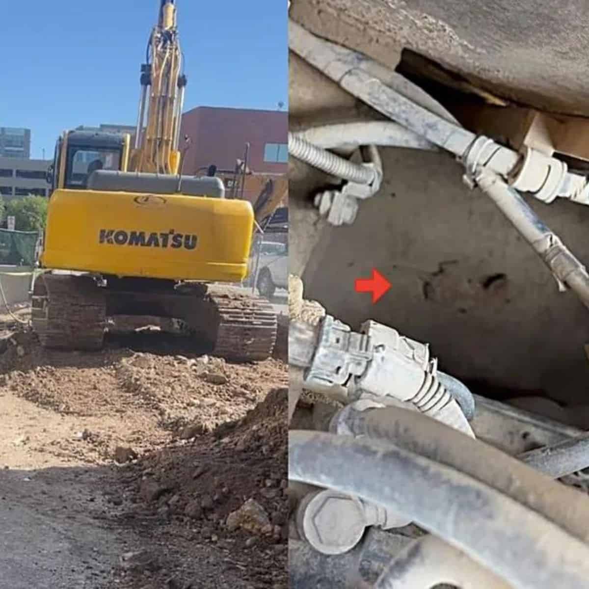 photo of an excavator where the kitten was found