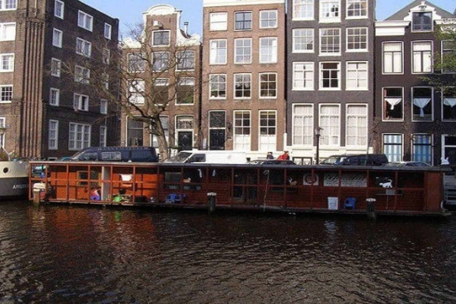 river boat in amsterdamus