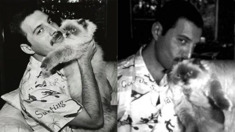 photo of freddie mercury and his cat