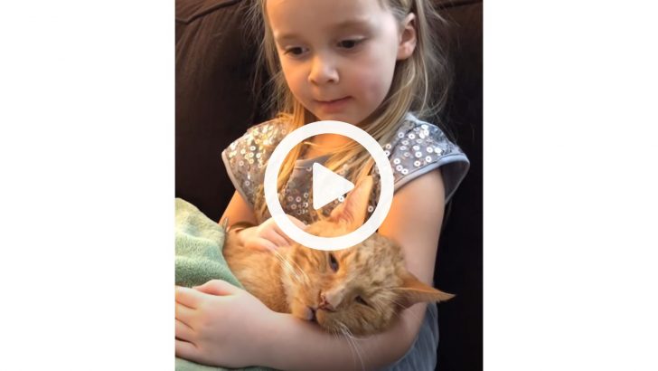 Little Girl Sings “You Are My Sunshine” To Her Cat One Last Time (VIDEO)