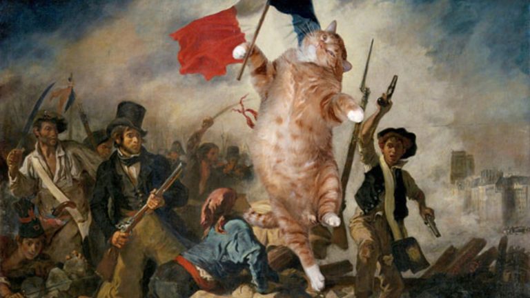 cat Bonaparte