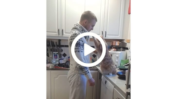 This Kitty Requires A Special Goodbye From Its Owner Every Morning (VIDEO)