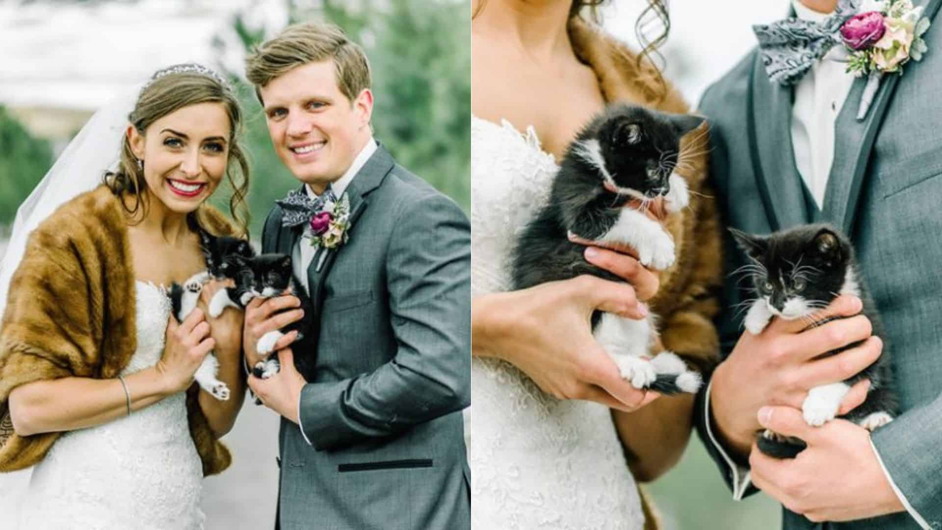 Two Vets Got Married And Their Special Day Was Purrfected With Rescue ...