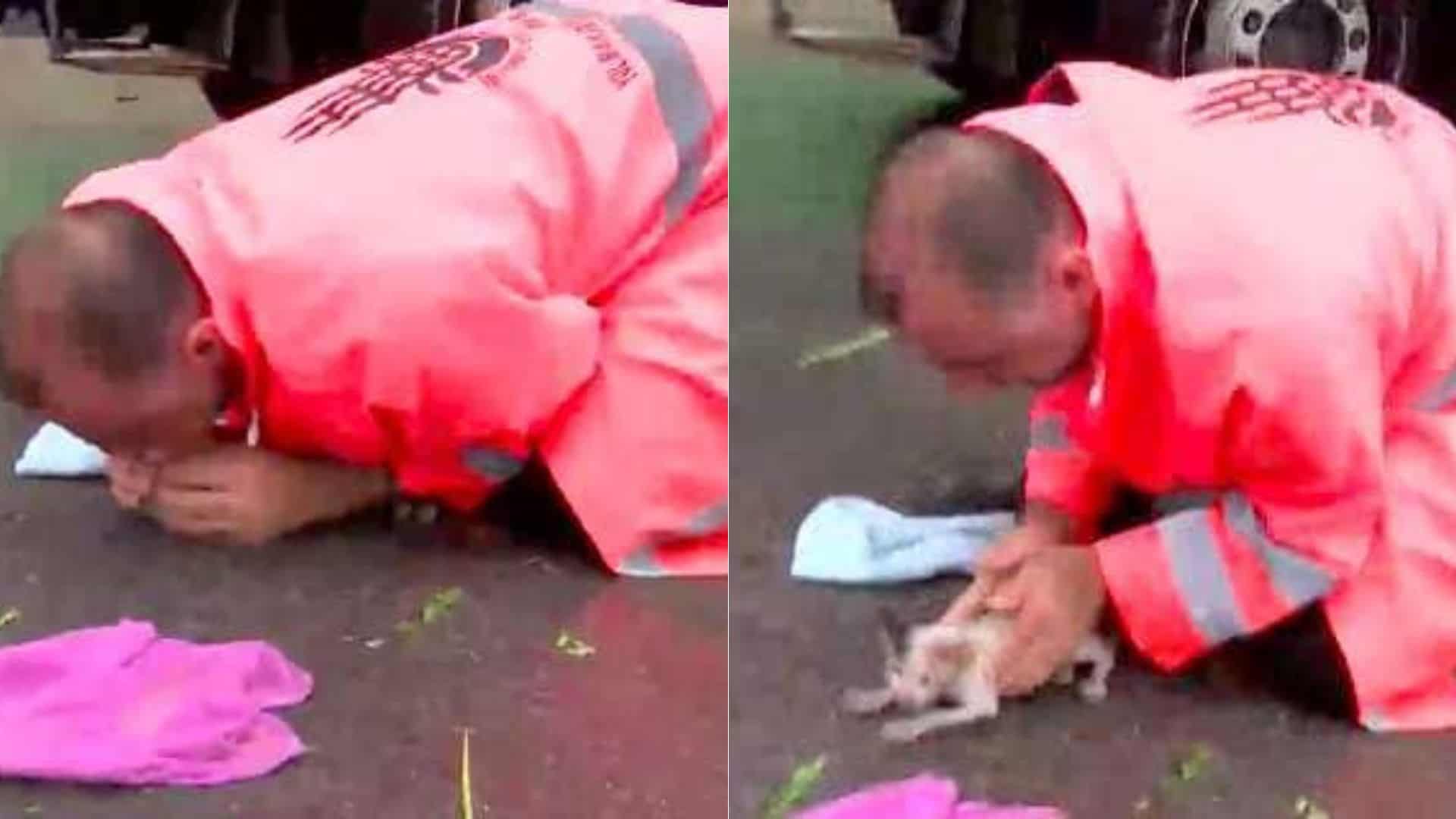 road workser saves drowning kitten