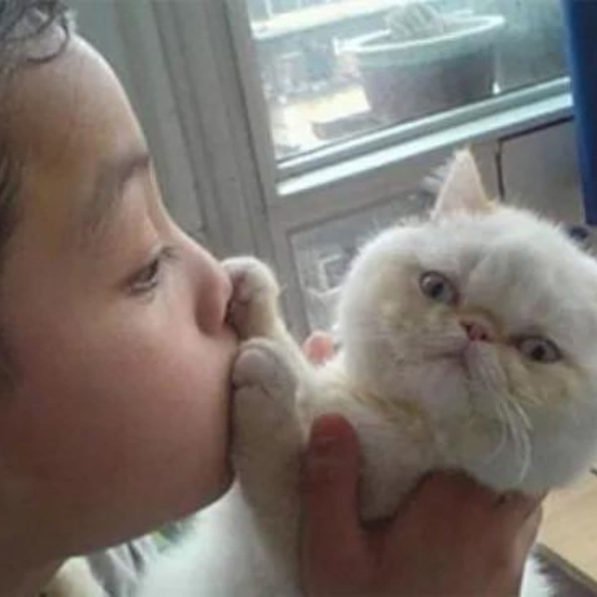 a boy kisses his cat's paws